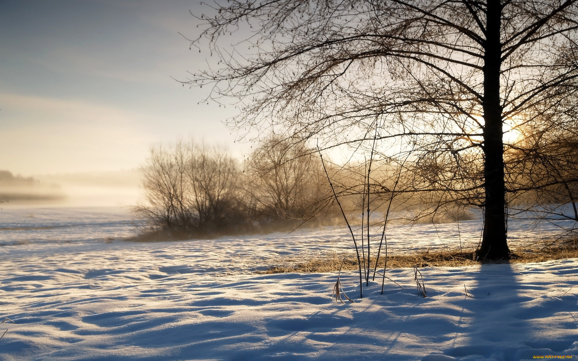 winter, , , , , 